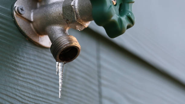 Best Local Plumber Services  in Sky Valley, CA